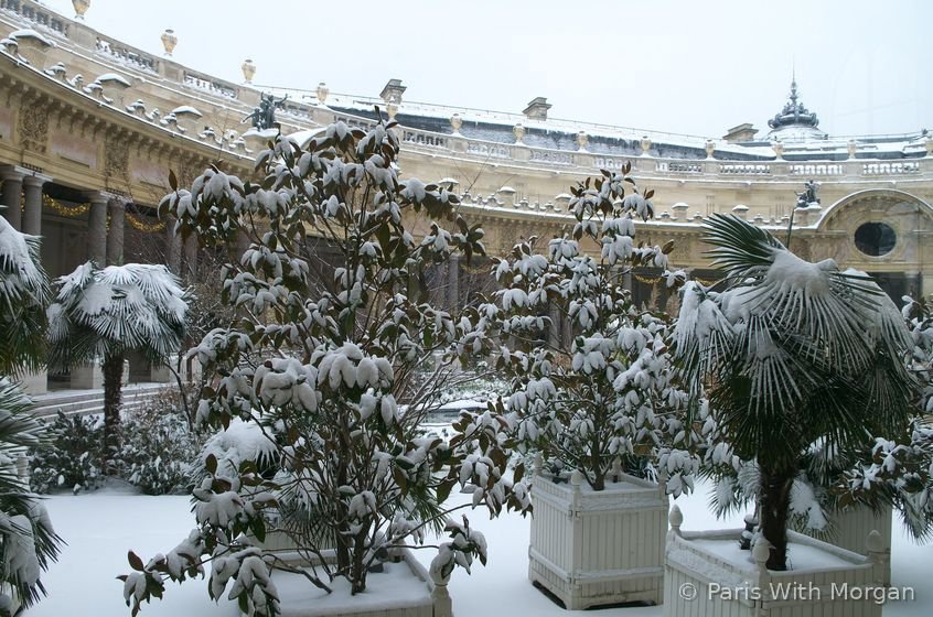 Petit Palais — interior garden